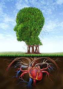 心脏树以一棵树为人体头形作根的心脏器官生长在地下代表着大脑智能与血液循环系统之间的医学和保健生物联系背景