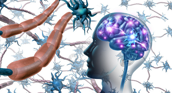 神经元素大脑和神经系统内的细胞解剖概念作为人类神经学和功能障碍的象征具有三维插图元素可致多重硬化或阿尔茨海默氏病背景