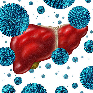 肝脏细胞c肝炎疾病概念是人体肝脏上由三维人类细胞组成的一作为感染的医学说明背景