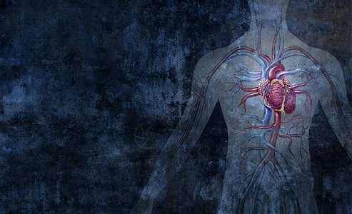 人类循环系统以及心脏动脉和静器官将抽象背景作为3d插图样式中的人类心脏功能符号背景