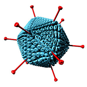 作为一种呼吸道疾病作为一种引起高发病的毒感染疾作为3d型微生物分子模概念作为一种3d型使白种人孤立无援设计图片