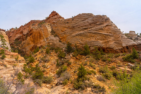 zionutahniedsa的zion公园的山地景观图片