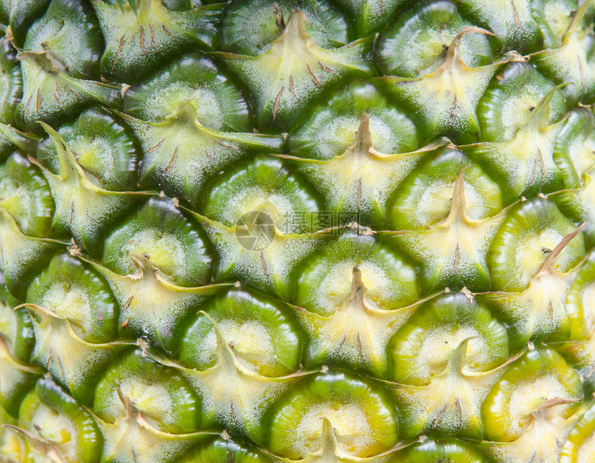菠萝表面的缝图片