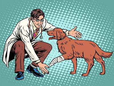 狗狗医生宠物医生和受伤的狗狗插画