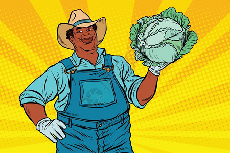 帽子头手里拿着一颗卷心菜的农民伯伯矢量插图插画