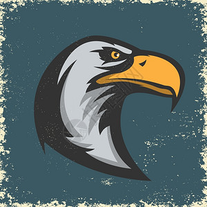 鹰头插图在grune背景t恤印的设计元素矢量插图图片