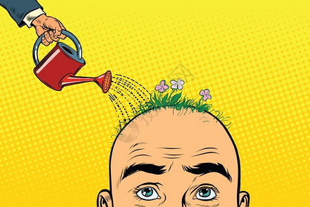 头水紫菜艺术表现秃头男性头发问题插画