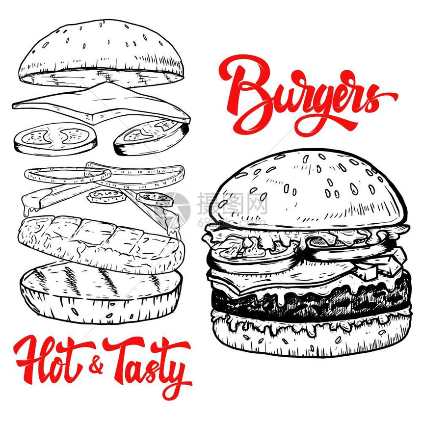 手画汉堡插图海报菜单传的设计元素矢量插图图片