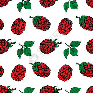带树莓的无缝模式海报传单菜的设计元素矢量插图图片