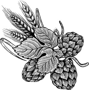 手绘小麦种子卡通矢量设计元素图片