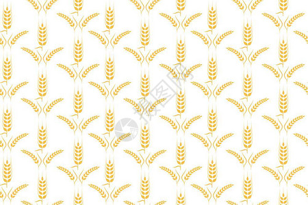 农业小麦背景矢量插图设计图片