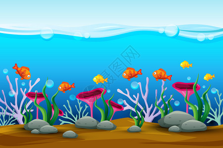 水中的鱼矢量风插画背景图片