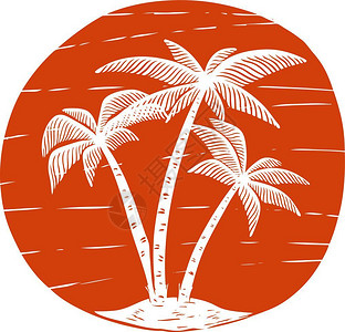 手绘椰子树剪影图片