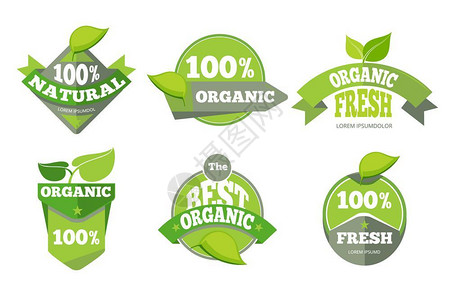 生物产品天然绿色有机生态标签一套插画