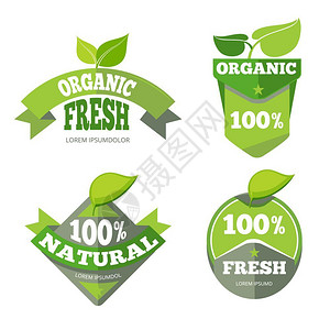 生物产品天然绿色有机生态标签插画