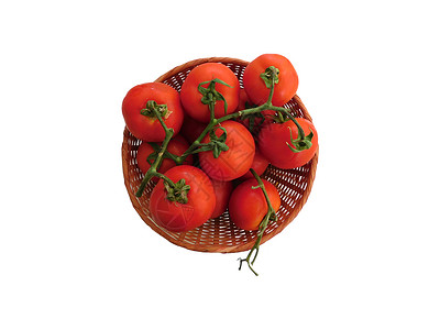 西红茄背景图片