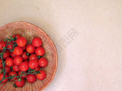 西红茄背景图片