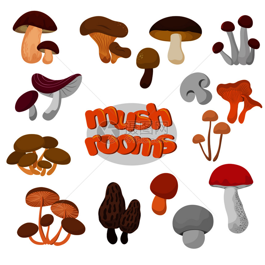 夏季和秋卡通可爱蘑菇元素图片