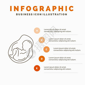图鸡蛋网站和演示文稿的婴儿怀孕产科胎儿信息图模板插画