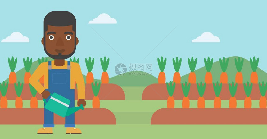站在萝卜地里的男性非裔农夫图片