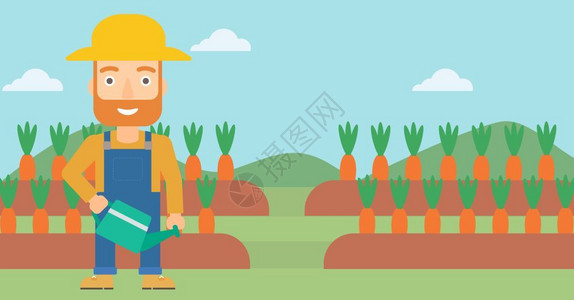 站在萝卜地里的长胡子男性农夫背景图片