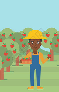 收获苹果在果园抱着果篮采摘水果的非裔女性农民矢量插画设计图片
