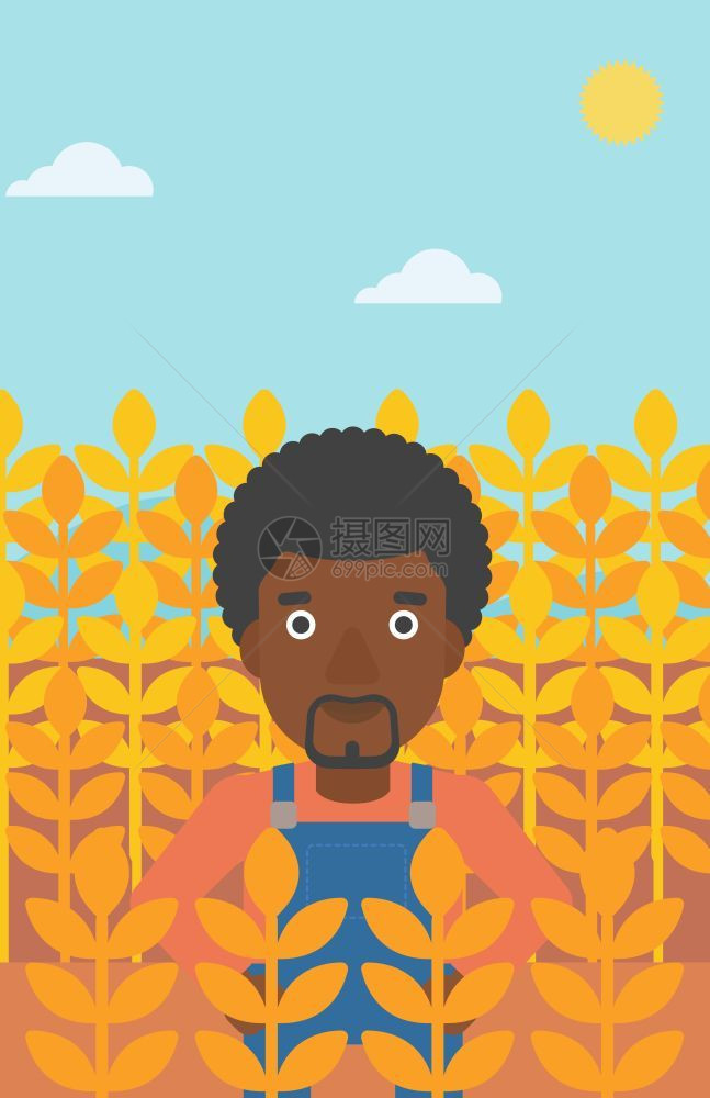 在小麦田工作的青年非裔农民矢量插画图片