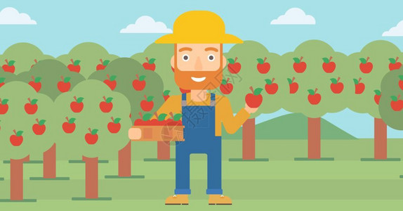 在果园采摘水果的农民矢量插画图片
