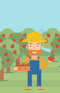 一个长胡子的在果园采摘水果的农民图片