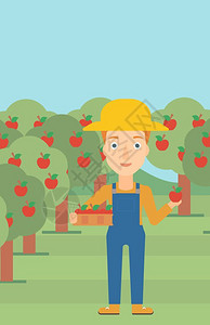 在果园采摘水果的女性农民矢量插画图片
