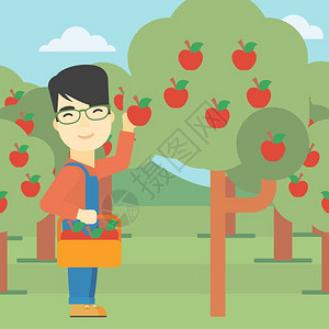 收获篮子果园摘苹果的农民插画