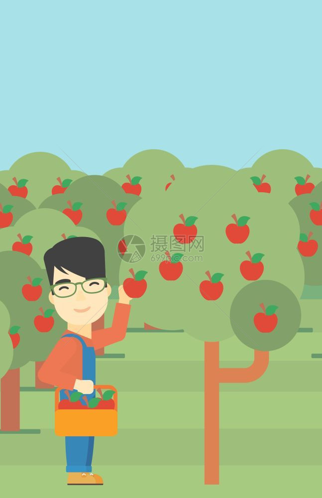 一名在果园摘苹果的农民图片