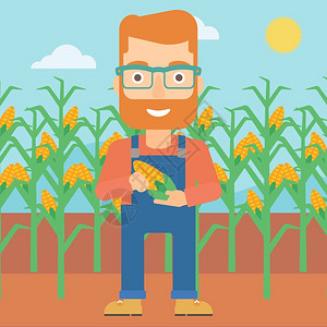 白人男性在玉米地里手拿玉米矢量卡通插画图片