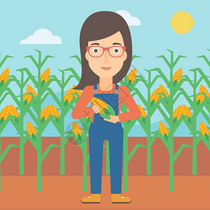 抱着玉米女孩站在玉米田里抱着玉米的女性农民插画