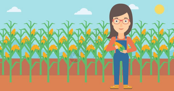 站在玉米田里抱着玉米的女性农民图片