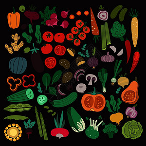 有机蔬菜矢量插画图片