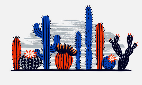 墨西哥沙漠仙人掌花卉的生长仙人掌矢量插图图片