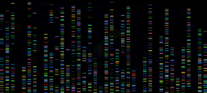 序列分析生物信息数据彩色方格图图片