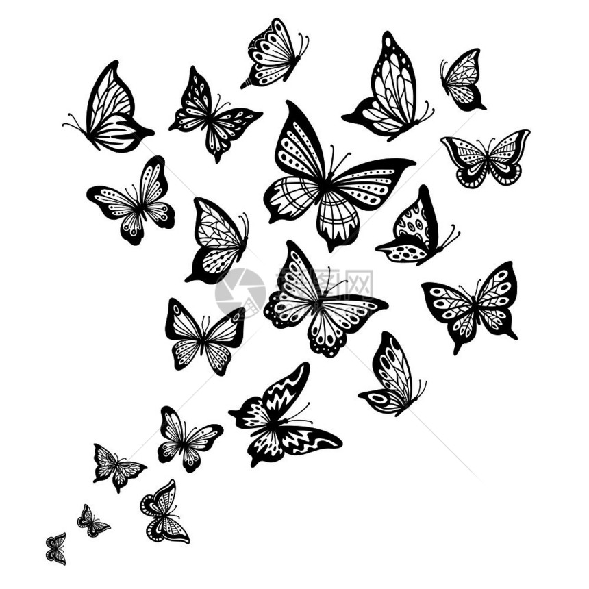 黑白蝴蝶纹身草图绘制矢量背景图片