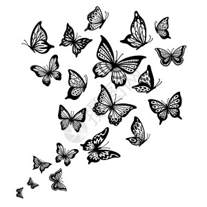 黑白蝴蝶纹身草图绘制矢量背景图片