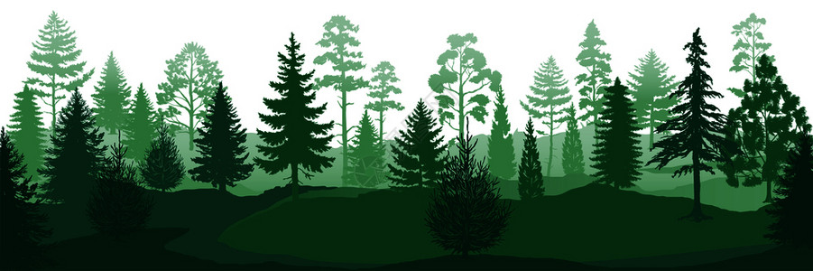 天然植萃天然林木背景矢量背景插图插画