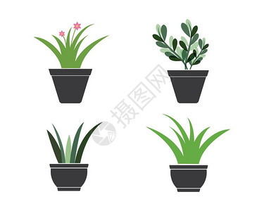 卡通矢量植物背景图片