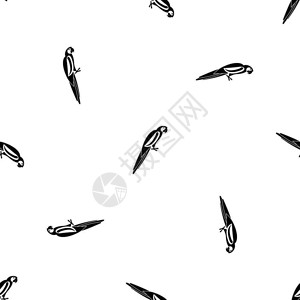 朱家裕鹦鹉无缝黑色图案矢量设计元素插画