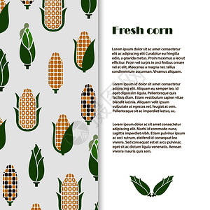 玉米素材模板花椰菜辣椒高清图片