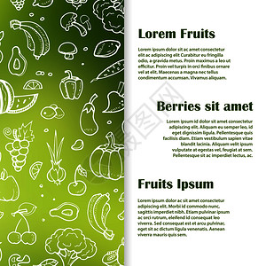 水果的横幅或海报模板矢量图背景图片