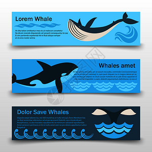 鲸横向海报模板图片