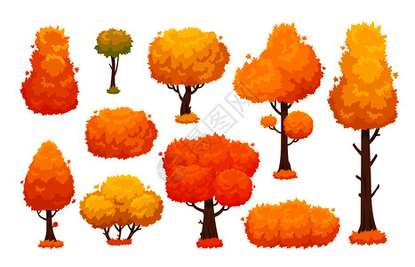 秋天橙黄色叶子的树元素插图背景图片