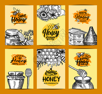 黄色蜜蜂标签蜂蜜店或农场模板插画