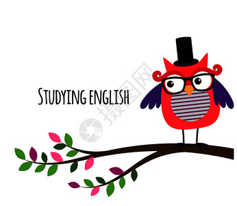 毕业礼帽装饰框聪明的猫头鹰学习英语插画