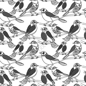 黑白带花纹的矢量鸟类手绘插画背景图片